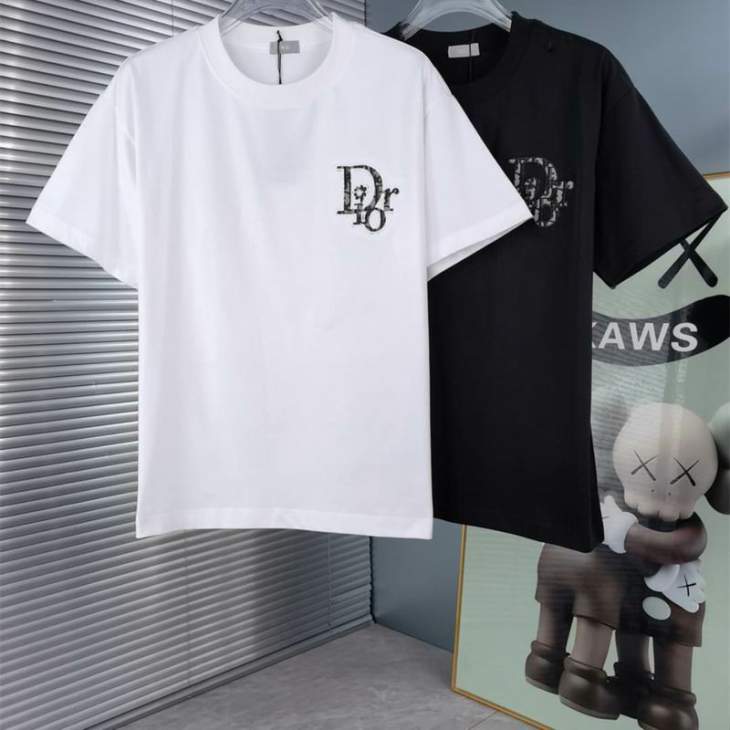 Picture of Dior T Shirts Short _SKUDiorS-2XL12yr53716151